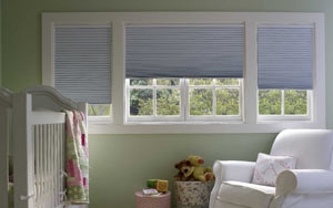 Viewscape Honeycomb Blinds